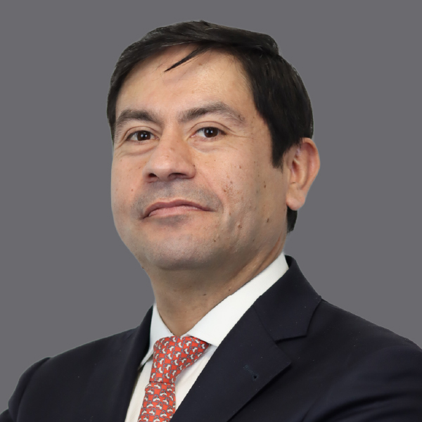 Nelson Gormaz